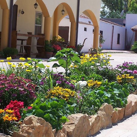 Agriturismo Cuile De Molino Порто-Торрес Екстер'єр фото