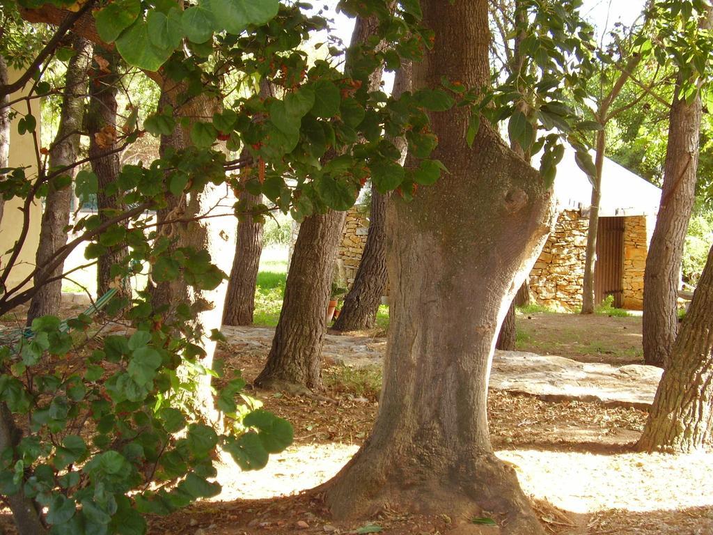 Agriturismo Cuile De Molino Порто-Торрес Екстер'єр фото